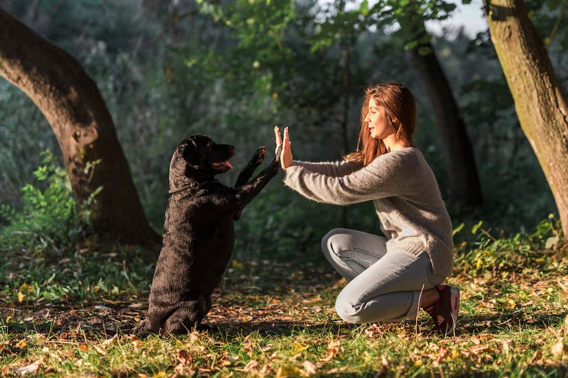 Animal Communication